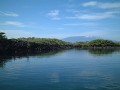 Lagune - île de Isabela - Galapagos Ref:37015